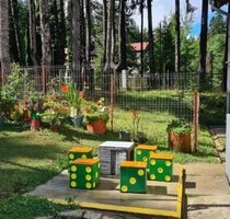 Studio in den Bergen von Brasov - Timisul de Sus