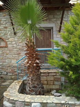 Bild 4 - Einfamilienhaus mit 100,00 m² in Koroni zum Kaufen