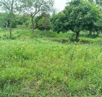 Brasilien 2475 Ha grosses Grundstück (Goldvorkommen in der R - Novo Aripuana