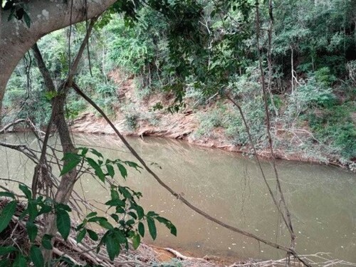 Bild 2 - Grundstück zum Kaufen in Novo Aripuana