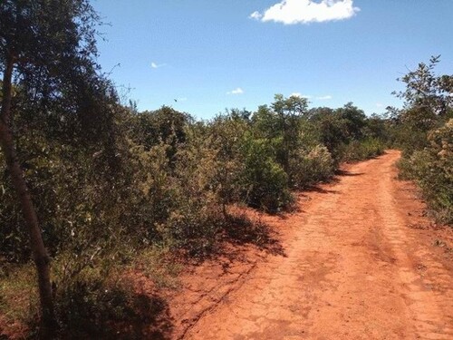 Bild 3 - Grundstück in Novo Aripuana