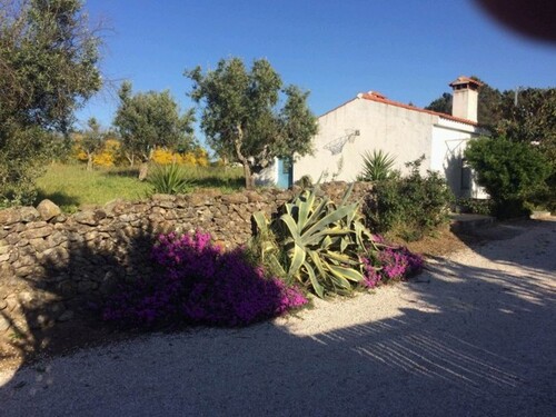 Bild 1 - Finca Quinta im Alentejo Portugal