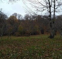 Herrenhaus in Pilion Griechenland - Kalamaki Village