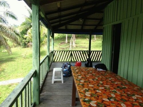 Bild 1 - Brasilien 75 Ha grosses Grundstück bei Presidente Figueiredo