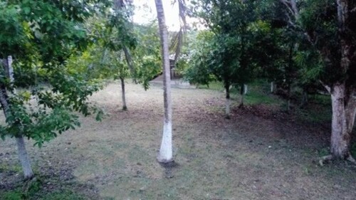 Bild 4 - Grundstück in Presidente Figueiredo zum Kaufen