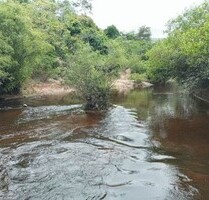 Brasilien 8´800Ha grosses Grundstück (Goldvorkommen in der R - Rio Jurua