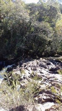 Bild 2 - Grundstück zum Kaufen in Rio Jurua