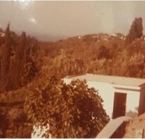 Insel Andros Land mit Hausbäumen & 3 Wasserquellen - Messaria