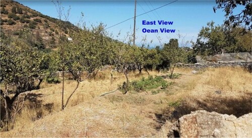 Bild 4 - Einfamilienhaus mit 55,00 m² in Messaria zum Kaufen