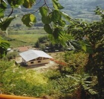 Gelegenheit! Rohbau 2 Stockwerk 430 qm auf 6000 qm Meter - Giuliano Teatino