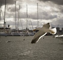 2-stöckiges Gebäude mit 3 Wohnungen - Dehiwala