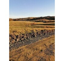 360ha Weide und Ackerland Kreis Arad - Pescari