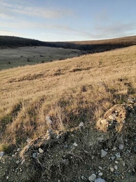 Bild 3 - Grundstück in Pescari