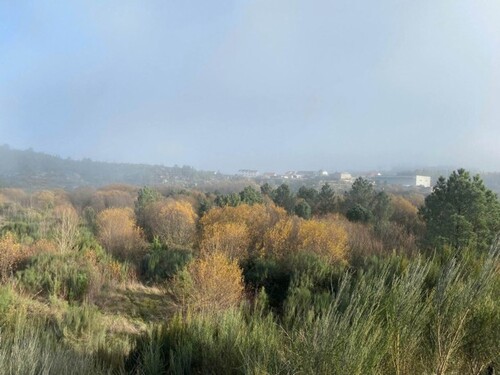 Bild 1 - Großes Stück Land mit, Bauzone, Grünezone und ein See.