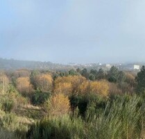 Großes Stück Land mit, Bauzone, Grünezone und ein See. - Aguiar da Beira