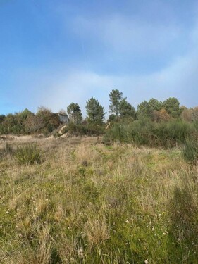 Bild 3 - Grundstück in Aguiar da Beira