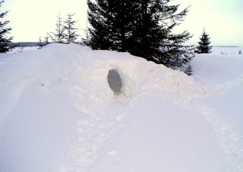 Bild 5 - 