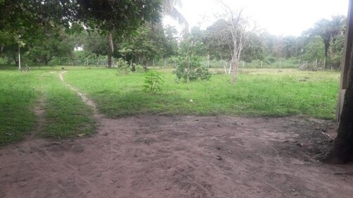 Bild 1 - Brasilien 600 Ha Rinderfarm im Bundesstaat Roraima