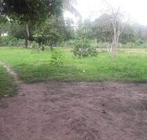 Brasilien 600 Ha Rinderfarm im Bundesstaat Roraima - Rorainopolis