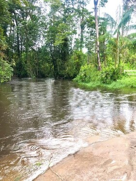 Bild 2 - Grundstück zum Kaufen in Rorainopolis
