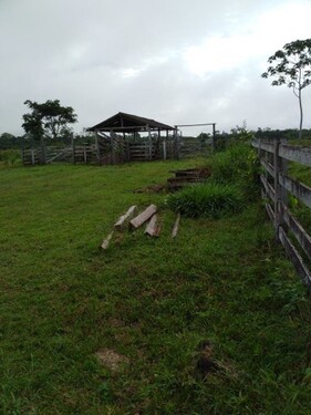 Bild 4 - Grundstück in Rorainopolis zum Kaufen