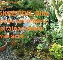Alleinlage mit 100 qm Haus, Scheunen und 92 Hektar Land - Uckerland