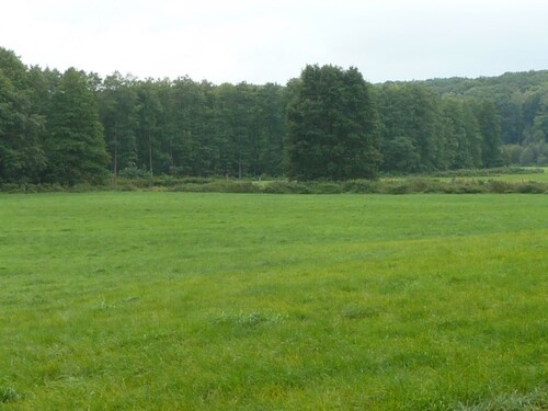 Bild 2 - Grundstück zum Kaufen in Uckerland