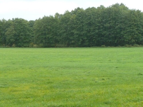 Bild 3 - Grundstück in Uckerland