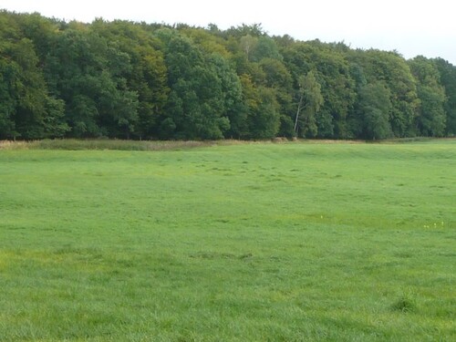 Bild 4 - Grundstück in Uckerland zum Kaufen