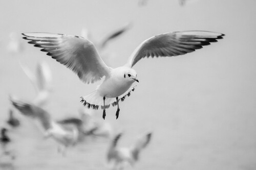 Bild 1 - Baugrundstück am Meer voll erschlossen
