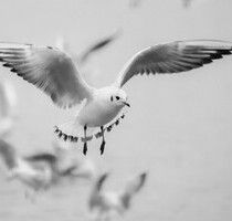 Baugrundstück am Meer voll erschlossen - Moscenicka Draga Baugrundstück am Meer voll erschlossen - Moscenicka Draga