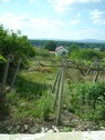 Bild 1 - Baugrundstück in Dabravino - 15.000,00 EUR Kaufpreis, ca.  1.495,00 m²