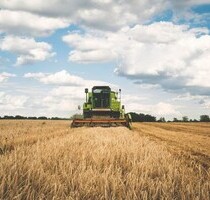 Ackerbaubetrieb 14vha mit 400 ha Pachtland - Prscari jud