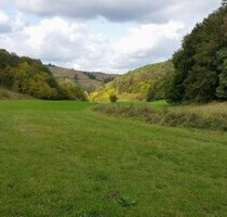 4 ha Ackerland im Grundbuch Kreis Mures nahe Sighisoara - Rosengarten