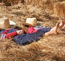 Finca am nördlichen Rande der Castilla la Mancha - Escalona Playa