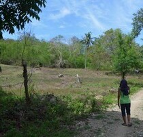 Bauland für Investoren am schönen Binucot-Strand Philippinen - Odiongan