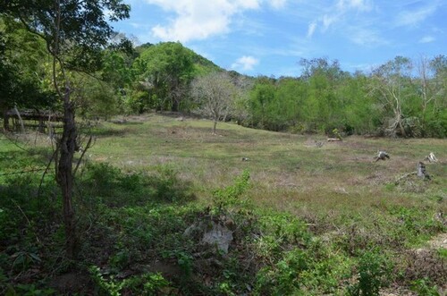Bild 2 - Grundstück zum Kaufen in Odiongan
