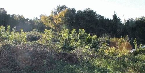 Bild 3 - Grundstück in Kreis Bar