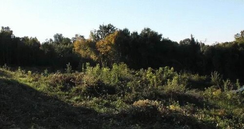 Bild 4 - Grundstück in Kreis Bar zum Kaufen