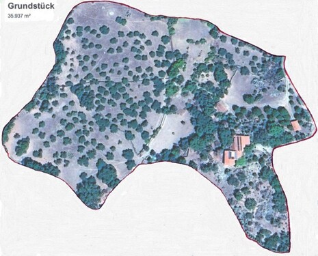 Bild 3 - 10 Zimmer Einfamilienhaus in Valencia de Alcantara