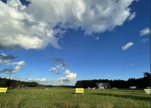 Bild 3 - Grundstück in Orłowo