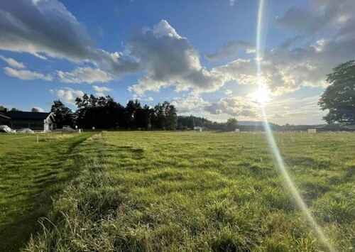 Bild 4 - Grundstück in Orłowo zum Kaufen