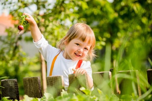 Bild 1 - Haus in ruhiger Lage mit Garten und Vorgarten