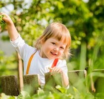 Haus in ruhiger Lage mit Garten und Vorgarten - Brasov