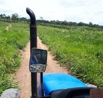 Brasilien 488 Ha Grundstück für Rinderzucht Autazes