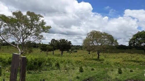 Bild 1 - Brasilien riesengrosses 5199 Ha Fazenda Tercolim Region Rora