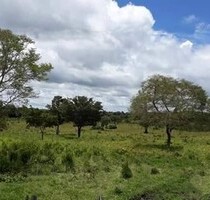 Brasilien riesengrosses 5199 Ha Fazenda Tercolim Region Rora - Vila Ecuador