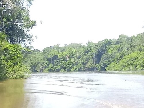 Bild 4 - Grundstück in Vila Ecuador zum Kaufen