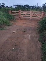 Brasilien 3000 Ha Grundstück mit Rohstoffen - Silves