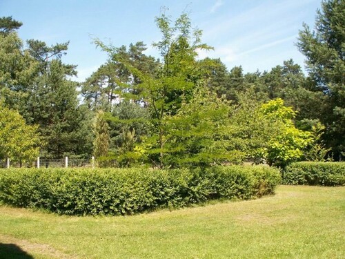 Bild 4 - Einfamilienhaus mit 160,00 m² in Wronki zum Kaufen